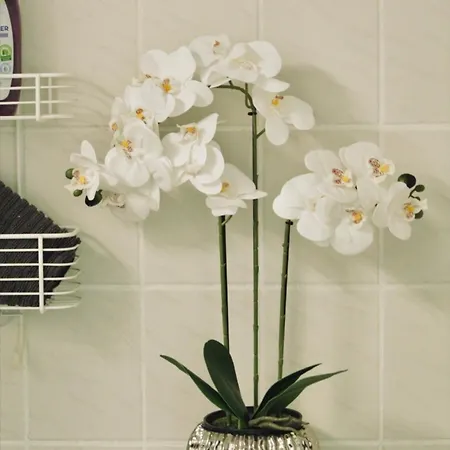 דירה Kuestenliebe *